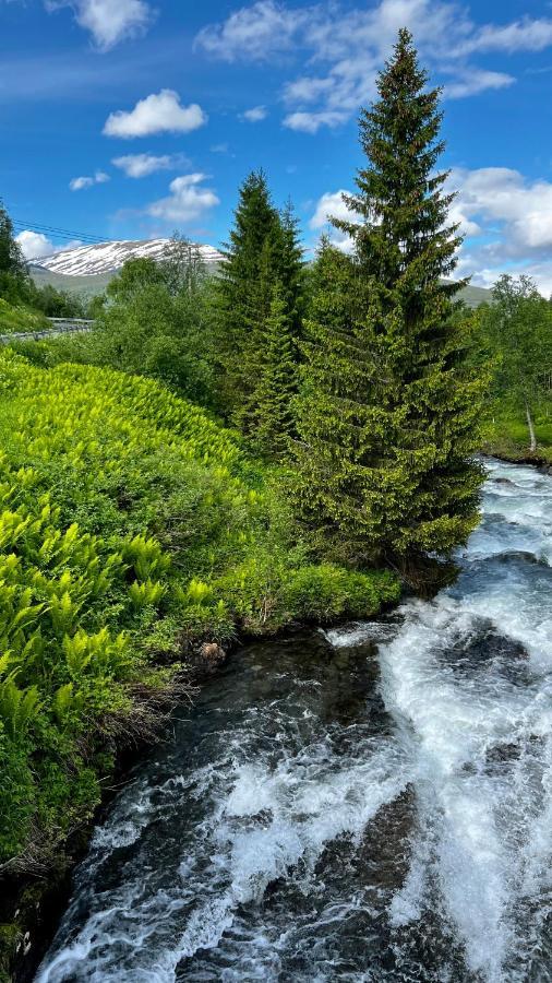 Norwegian Dream Apartment Gratangen Екстериор снимка