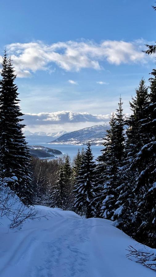 Norwegian Dream Apartment Gratangen Екстериор снимка