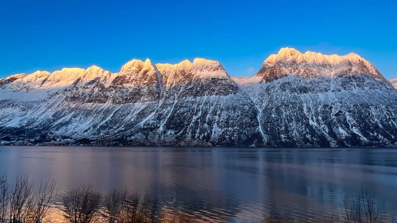 Norwegian Dream Apartment Gratangen Екстериор снимка