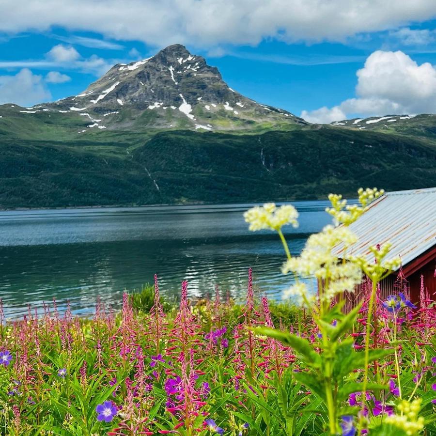 Norwegian Dream Apartment Gratangen Екстериор снимка