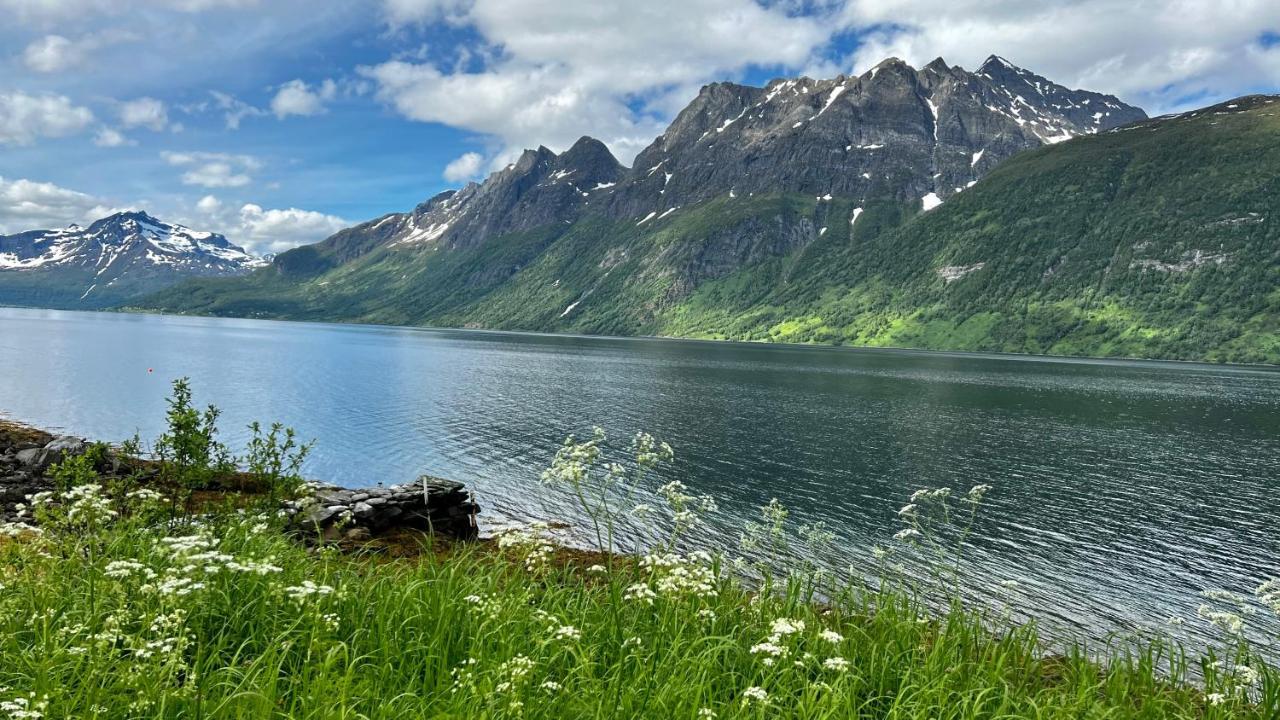 Norwegian Dream Apartment Gratangen Екстериор снимка